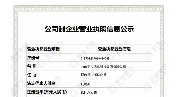 山东泰宝信息科技集团有限公司