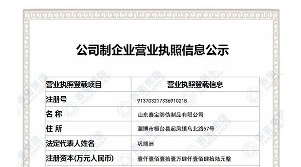 山东泰宝防伪制品有限公司