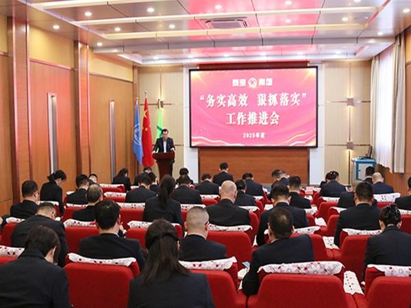 泰宝集团召开“务实高效 狠抓落实”工作推进会
